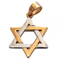 Gold Filled Classic Two Tone Star of David Pendant